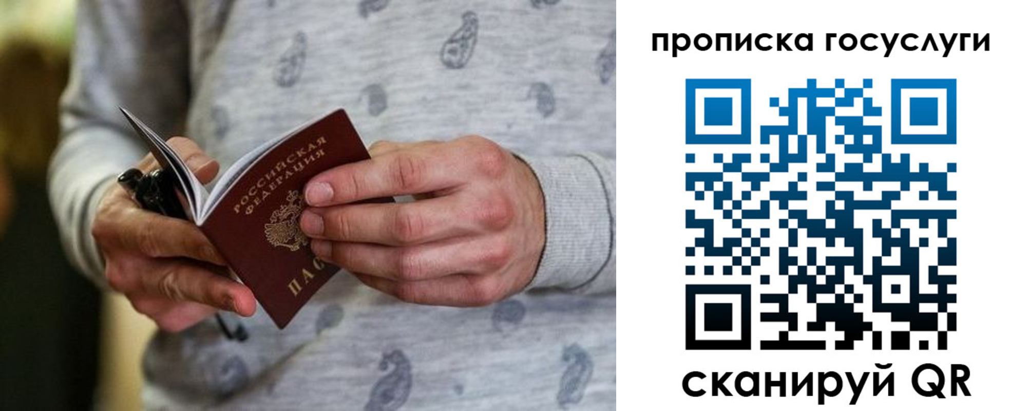 прописка в Коле