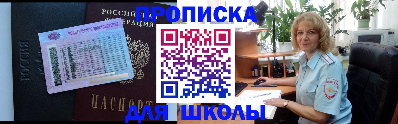 где прописаться в Коле